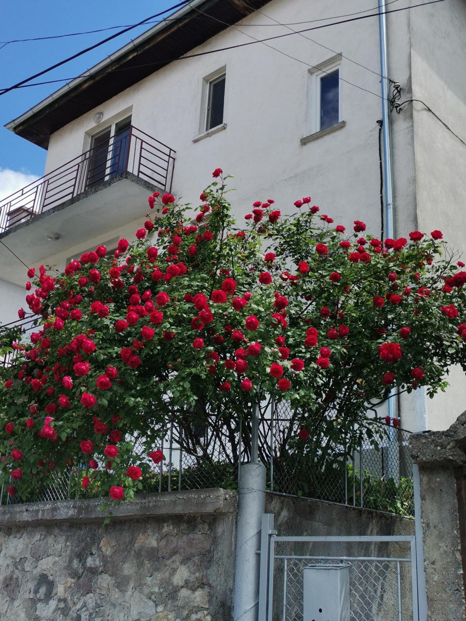 Къща За Гости - Софи, Гр. Девин Exterior foto